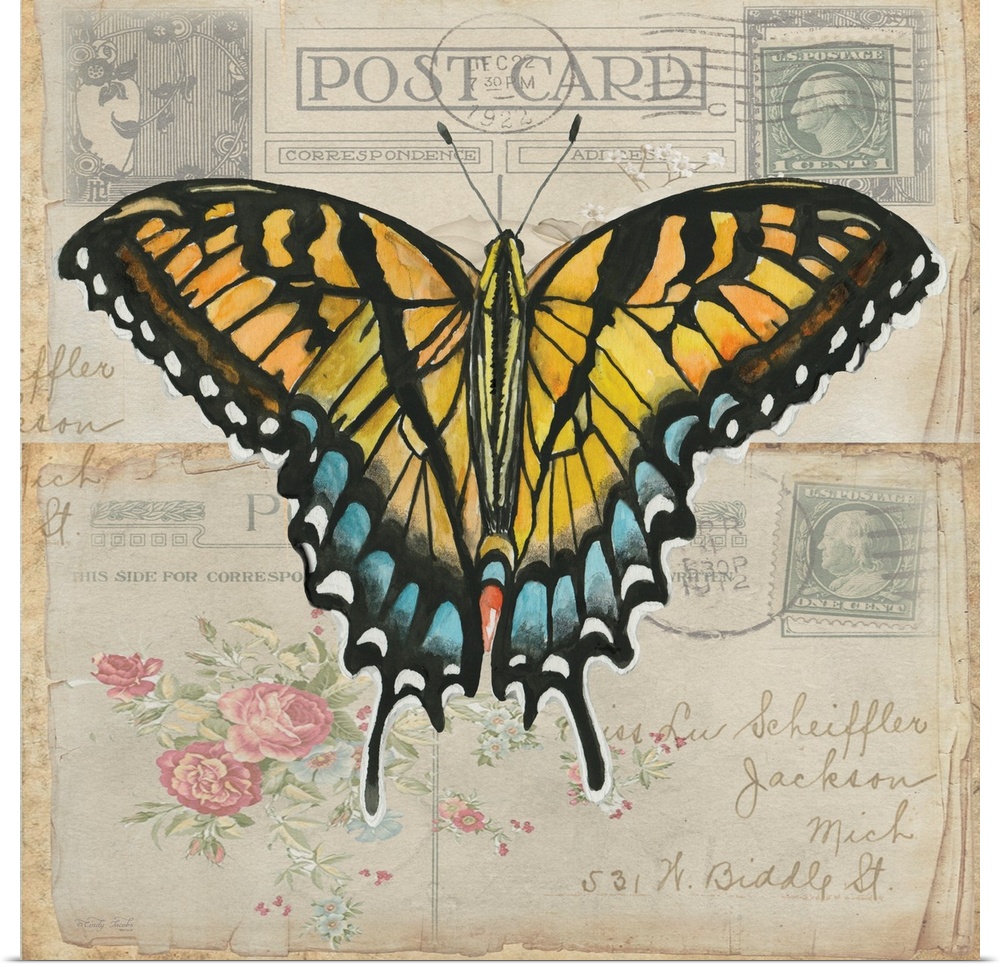 Postcard Butterfly II