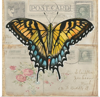 Postcard Butterfly II