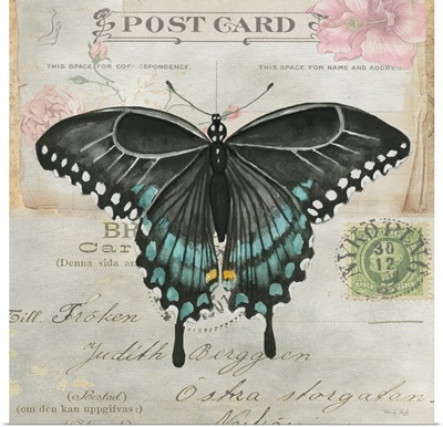 Postcard Butterfly III