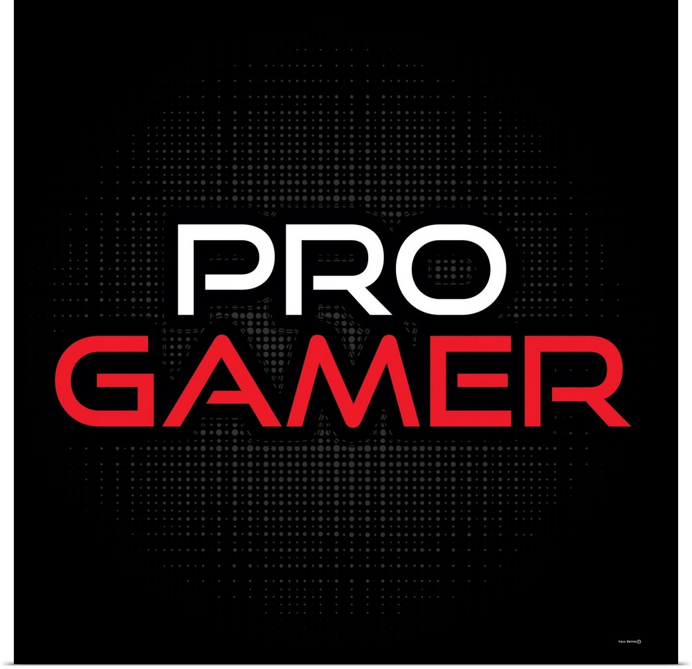 Pro Gamer