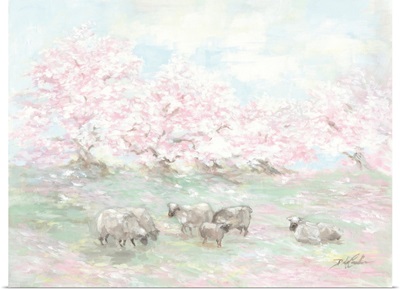 Sheep In Spring