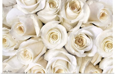 Top View - White Roses