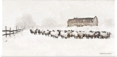Warm Winter Barn with Sheep Herd