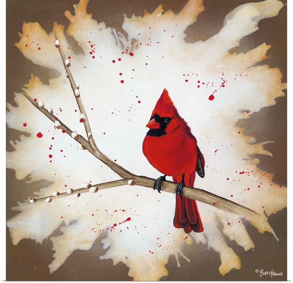 Contemporary painting of a red Cardinal on a branch with a textured border.
