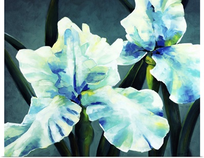 Blue Green Iris