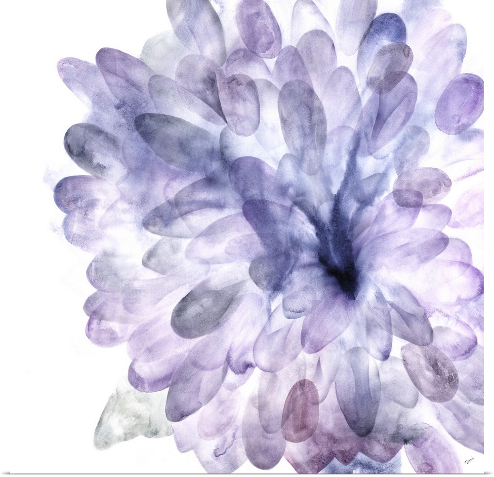 Contemporary watercolor painting of a Dahlia bloom in shades of purple.