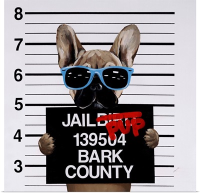 Jail Pup