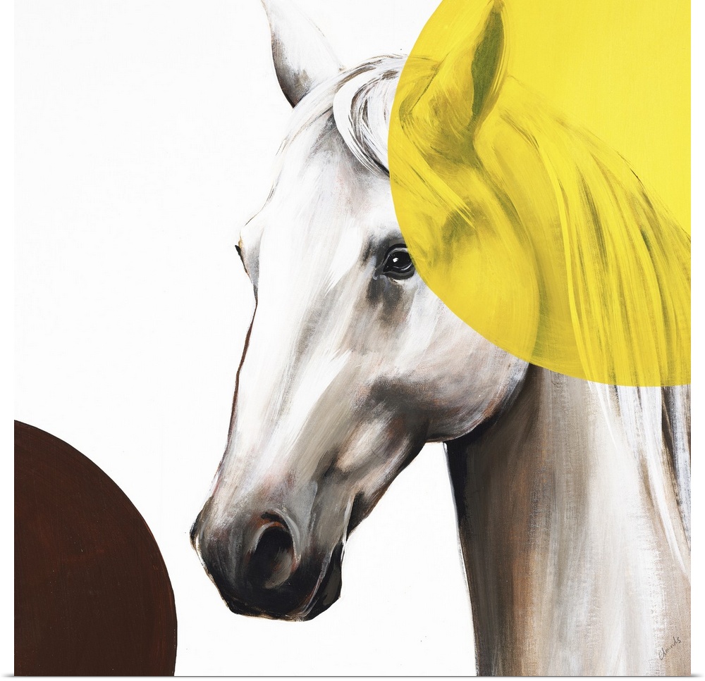 Square artwork with a white and brown toned horse and two large circles in the corners, one yellow and one brown.
