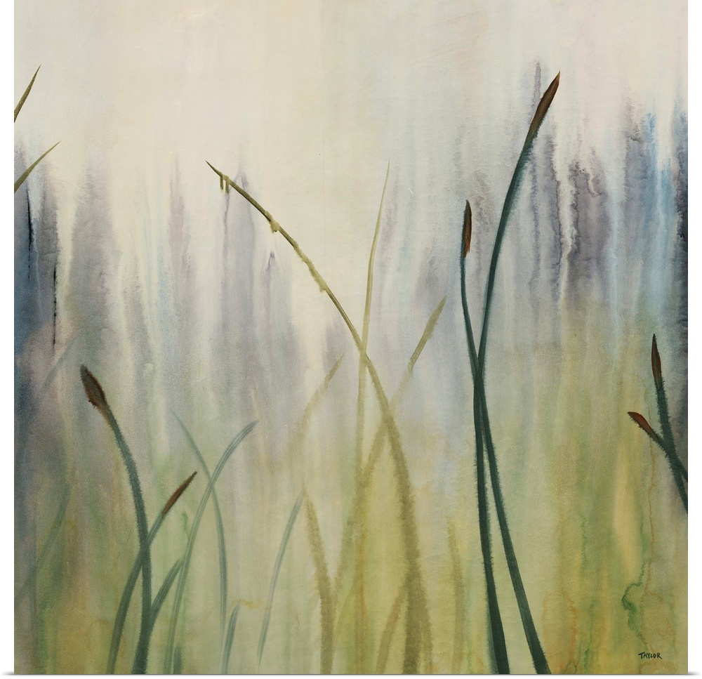 Close-up watercolor painting of a small cluster of tall grasses that seem to fade into the foggy background as you look fu...