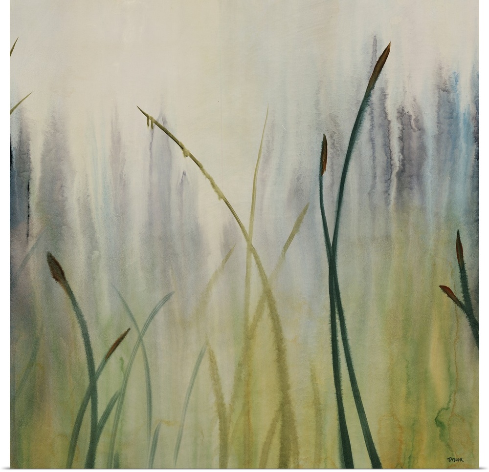Close-up watercolor painting of a small cluster of tall grasses that seem to fade into the foggy background as you look fu...