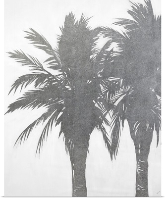 Splendor of the Palms I