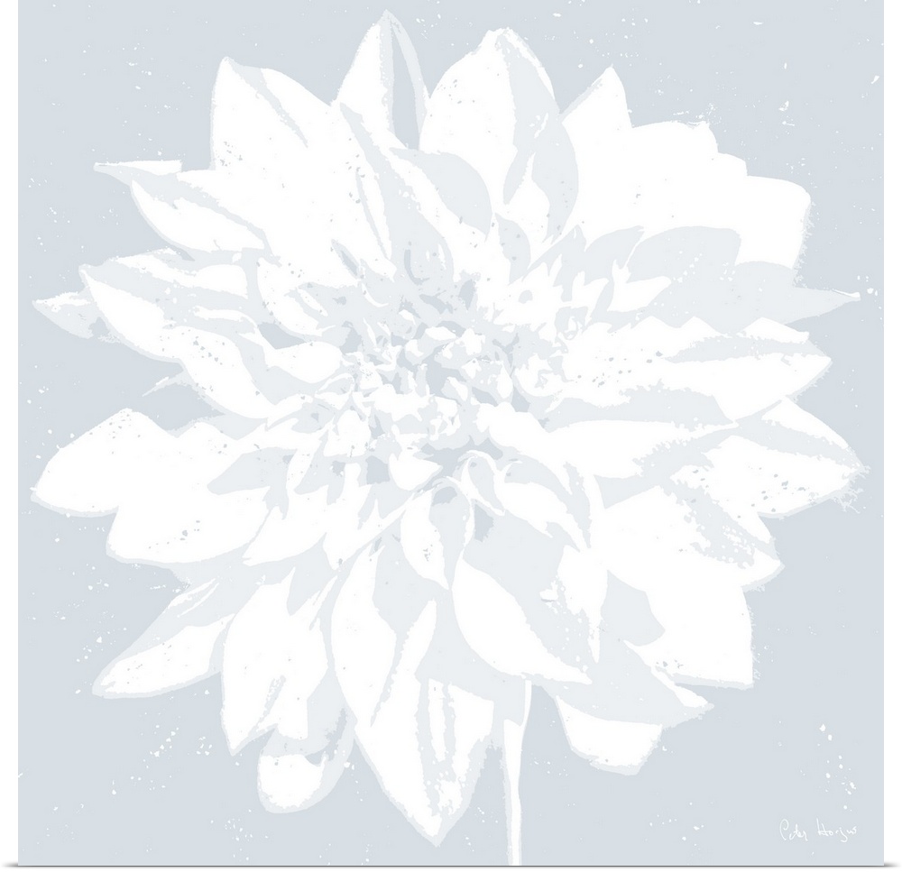 Close-up graphic of a white dahlia flower on a light blue background.