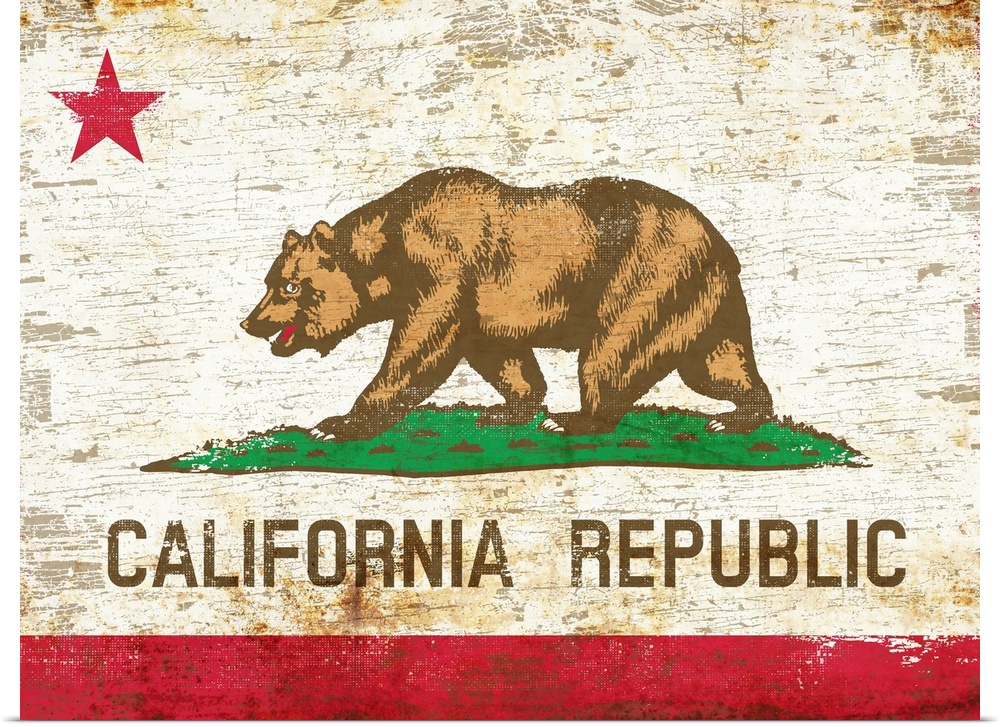 Worn and distressed California state bear flag