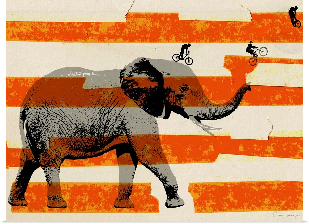 Large gray elephant in profile with bmx riders jumping off the elephant’s trunk with american flag stripes in the background.