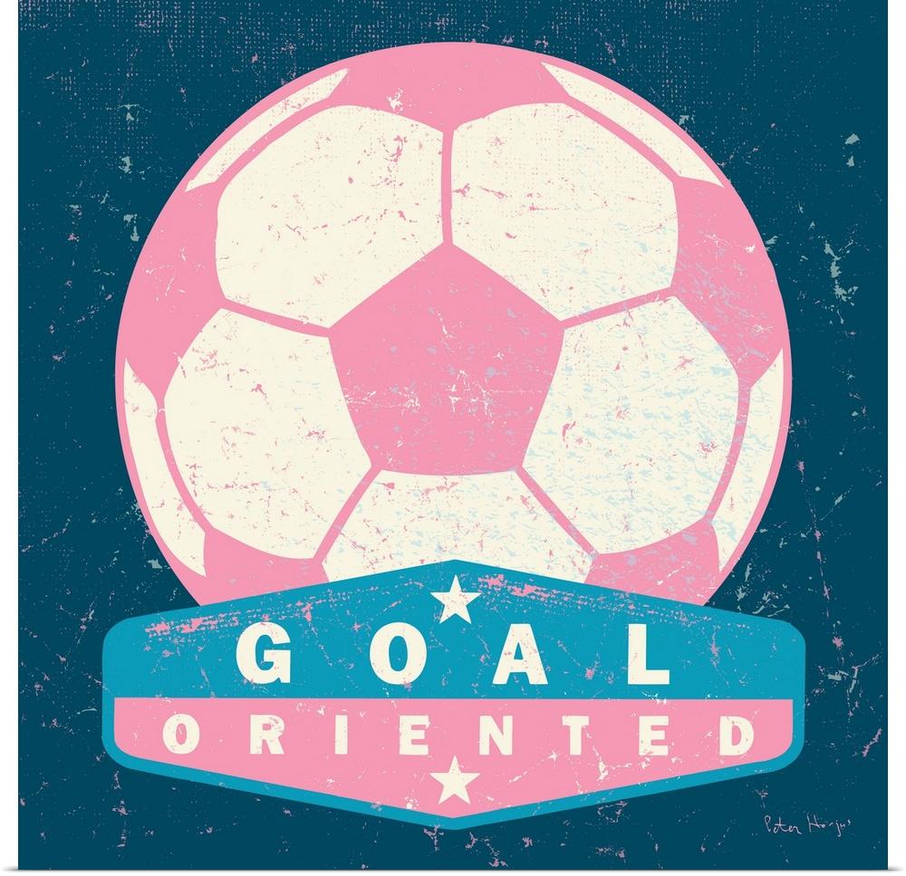 Distressed large pink soccer ball with a typography saying "Goal Oriented"