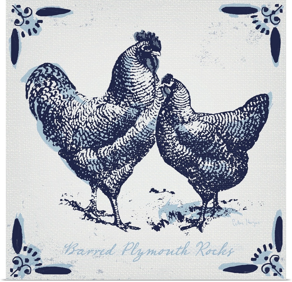 Plymouth rock chickens with typography in dutch blue
