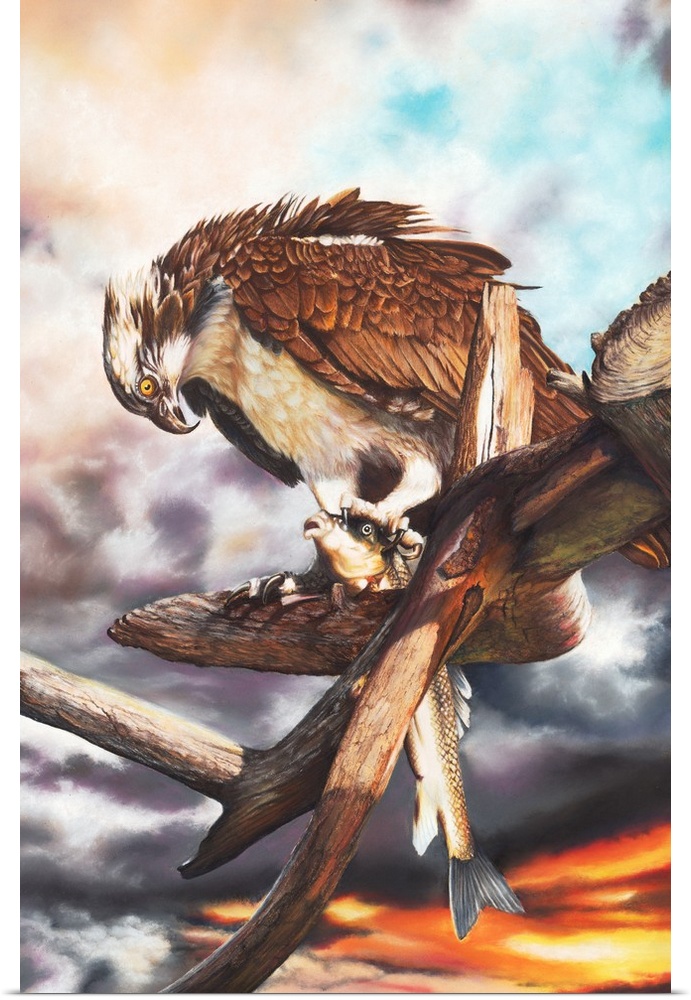 An Osprey feeding on a large fish in a deadwood tree before a dramatic sky. Created with pastels on card.