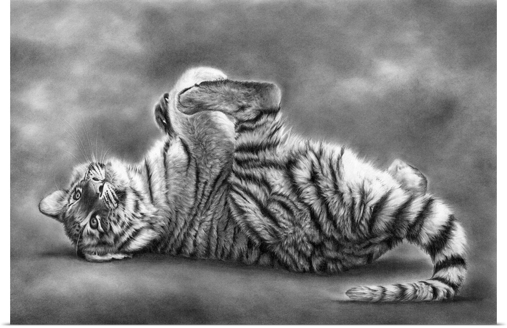 A very young and playful tiger cub, created with graphite pencils on paper.