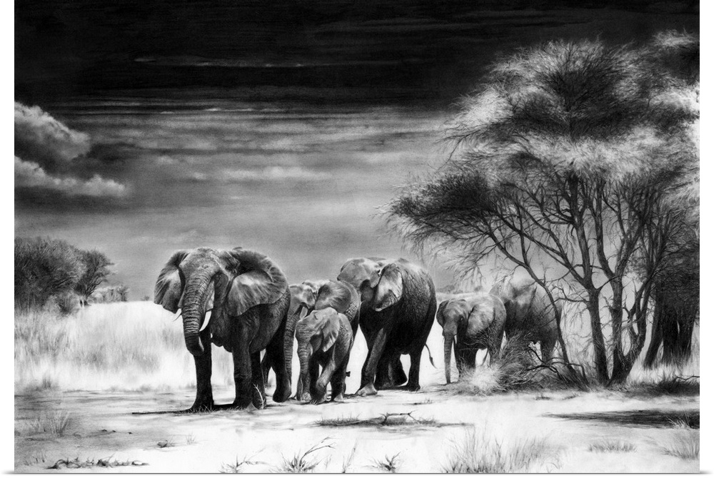 A herd of African elephants calmly approaching a waterhole, created with graphite pencils on paper.