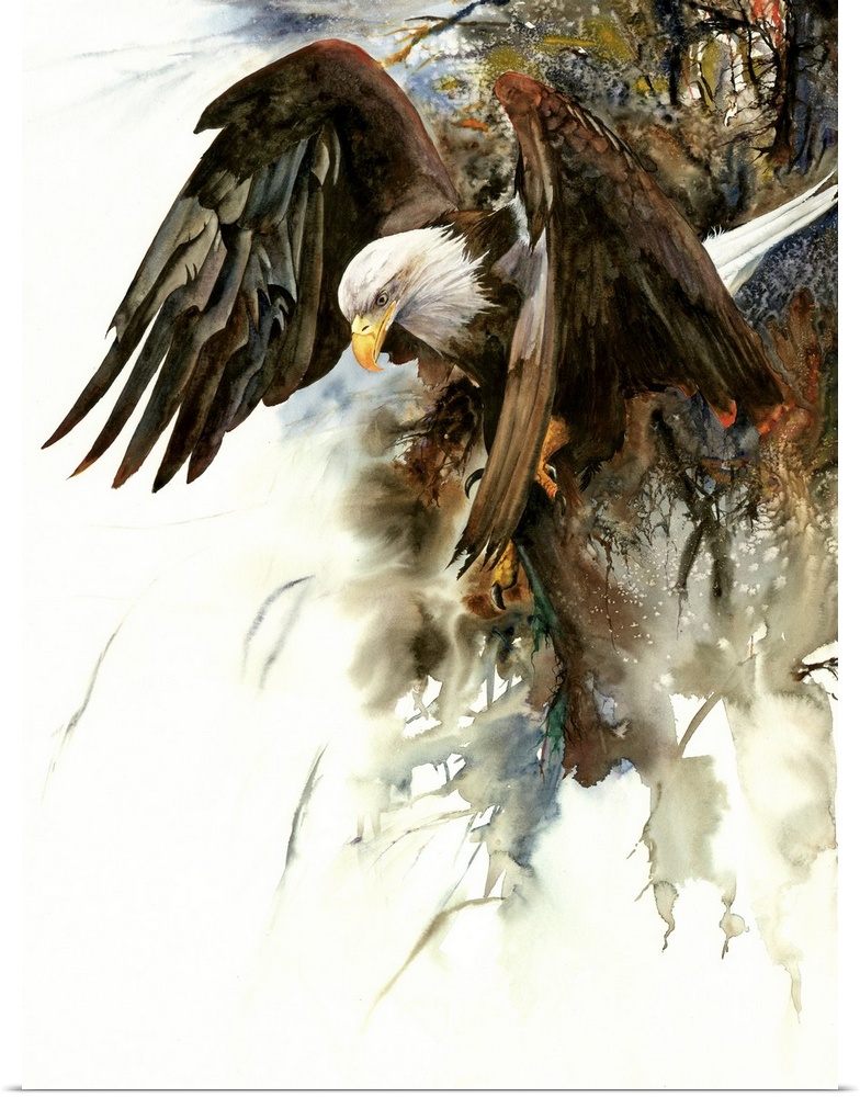 Watercolor painting of an eagle in flight.