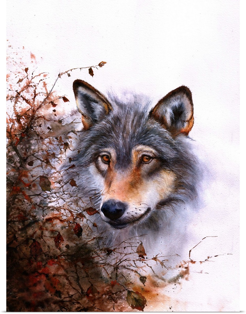 A watercolour painting of a grey wolf behind a thorn bush.