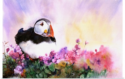 Puffin Paradise