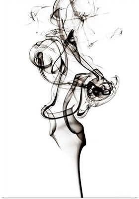Abstract Black Smoke - Tulip Dream