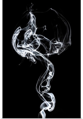 Abstract White Smoke - Medusa