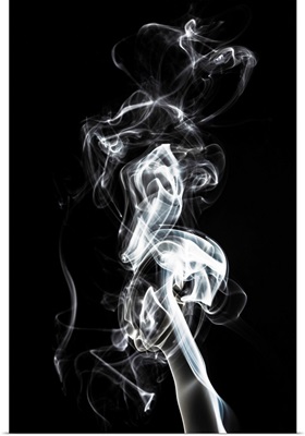 Abstract White Smoke - Seahorse