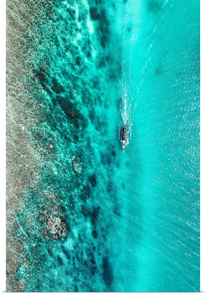 Aerial Summer - Turquoise Coral