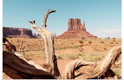 American West - Monument Valley V