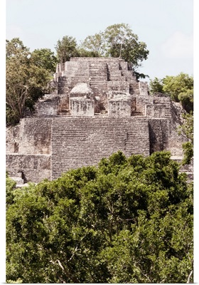 Ancient Maya City within the jungle of Calakmul IV