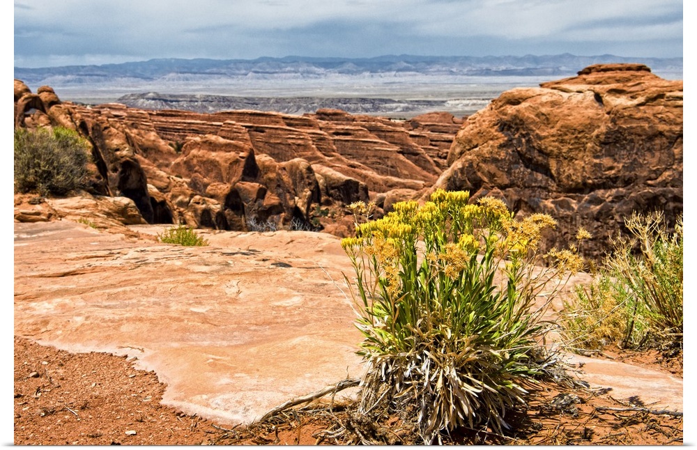 The rocky desert landscape of Arches National Park in Moab, Utah.