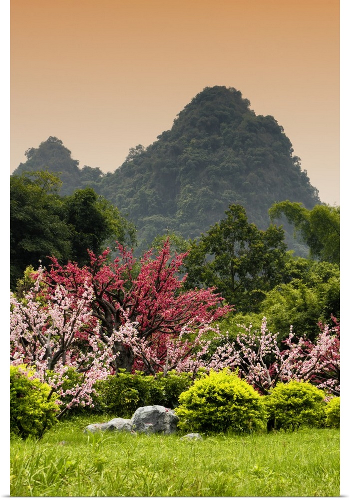 Beautiful Asian Garden, China 10MKm2 Collection.