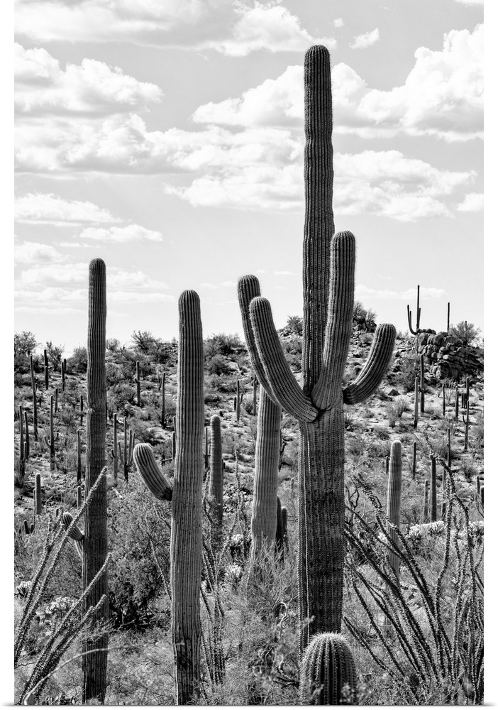 From Tucson to Monument Valley, discover this fabulous new series of photos taken under the watchful eye of Philippe Hugon...