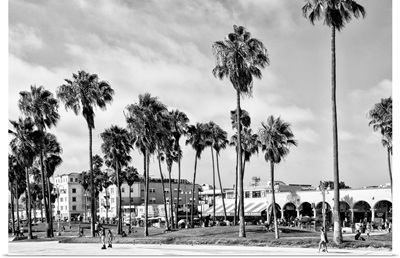Black And White California Collection - Venice Beach II