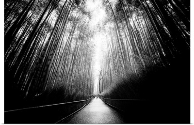 Black And White Japan Collection - Arashiyama Bamboo Forest