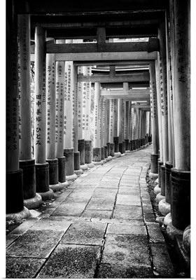 Black And White Japan Collection - Between Torii