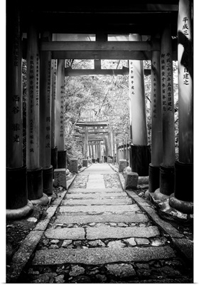 Black And White Japan Collection - Follow The Path