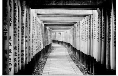Black And White Japan Collection - Fushimi Inari Shrine