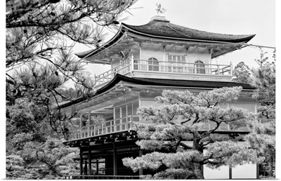 Black And White Japan Collection - Kinkaku-Ji Temple