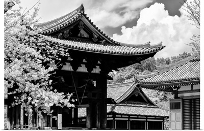 Black And White Japan Collection - Nara Temple