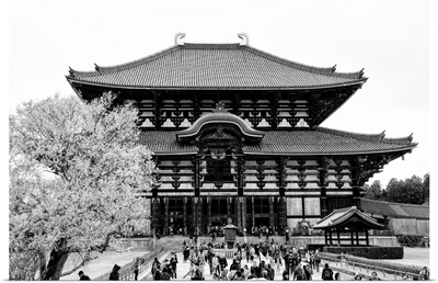 Black And White Japan Collection - Todaiji Temple