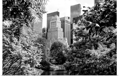 Black And White Manhattan Collection - Central Park