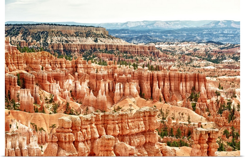 Fine art photo of the rock formations in Bryce Canyon in the desert, Utah.