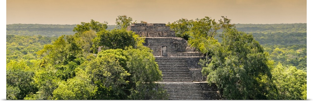 Panoramic photograph of Calakmul archaeological site that is deep in the jungle in Campeche, Mexico, at sunset. From the V...