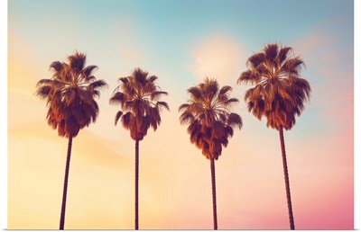 California Dreaming - L.A. Sunset Palms