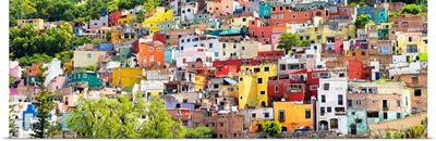 City of Colors Guanajuato III