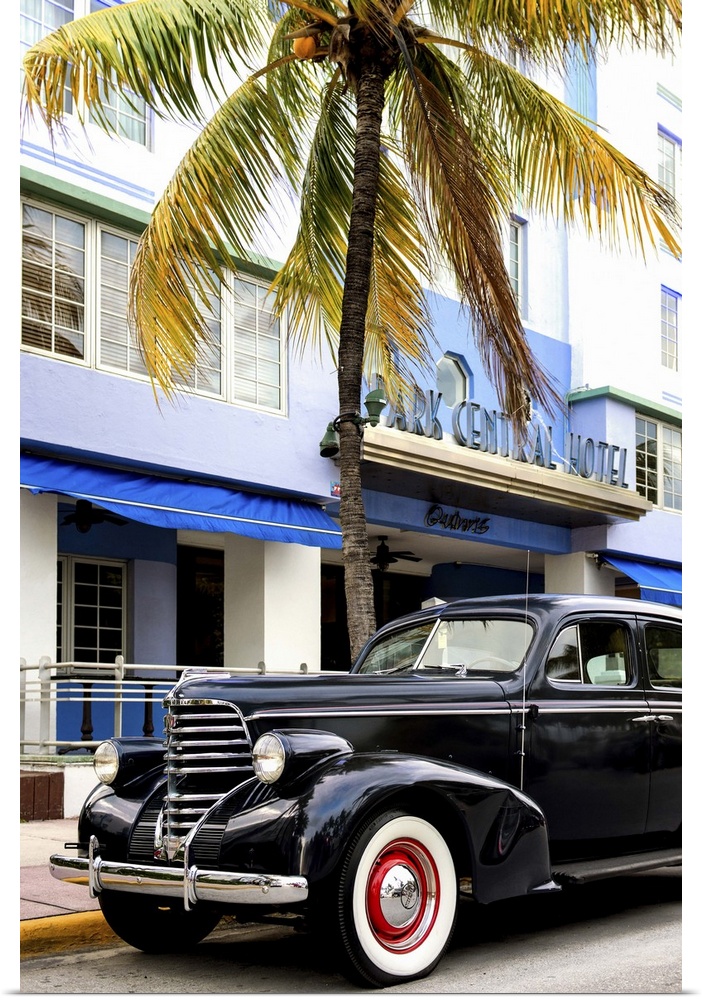 Photograph of a classic car in Miami, Florida, under a palm tree.