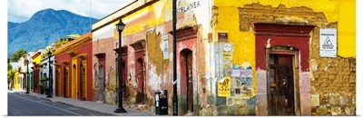 Colorful Street in Oaxaca IV